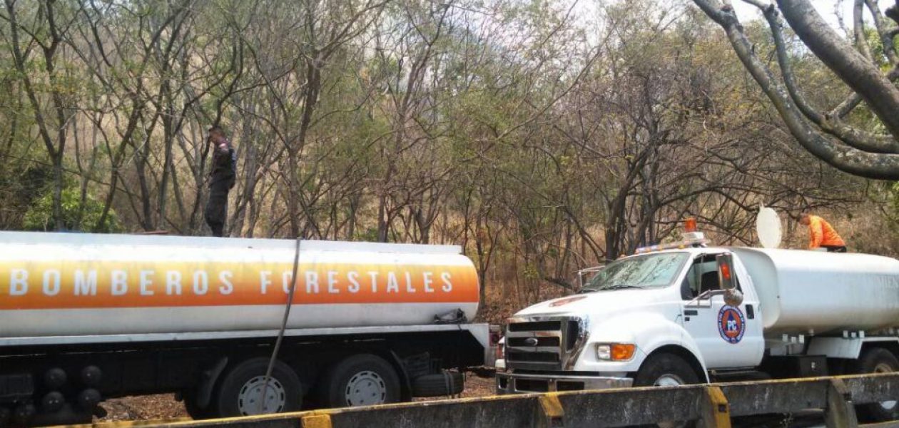 Controlan fuerte incendio que consumió más de 4 hectáreas en El Ávila