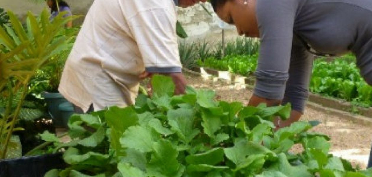 Gaceta Oficial 40950: Trabajadores serán obligados a prestar servicios en el sector agroalimentario