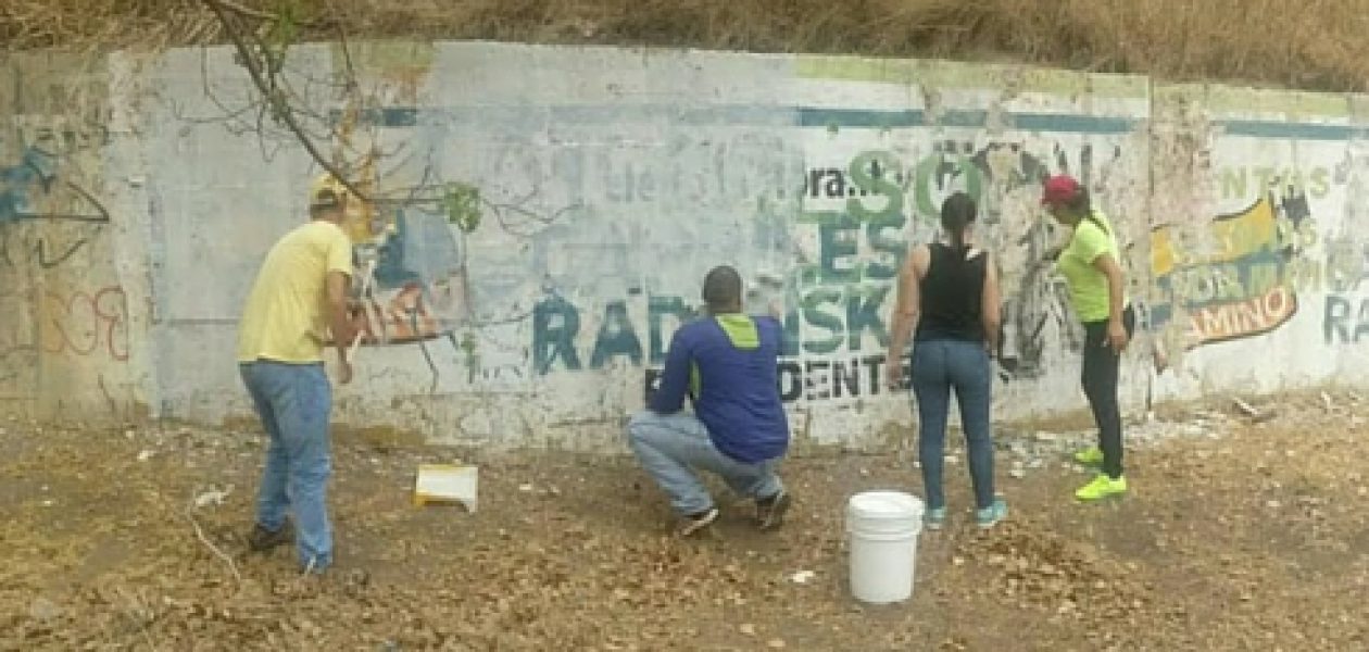 Otra cara a Guayana: cero murales con propagandas electorales