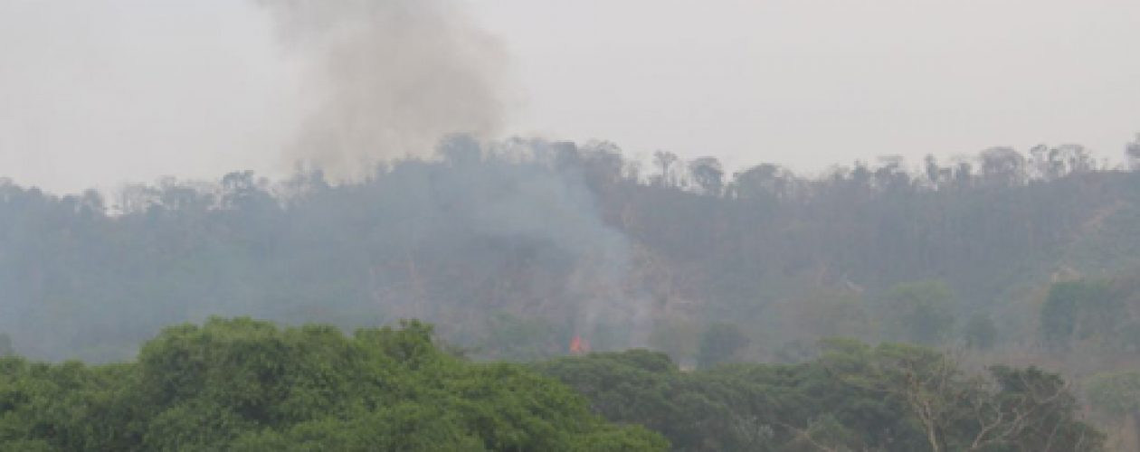 En la Sierra de Perijá se intensifica el incendio forestal