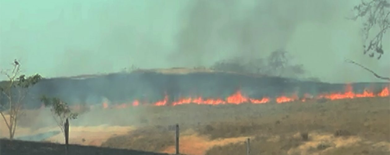 ¡Sierra de Perijá arde en llamas! Ya hay dos fallecidos