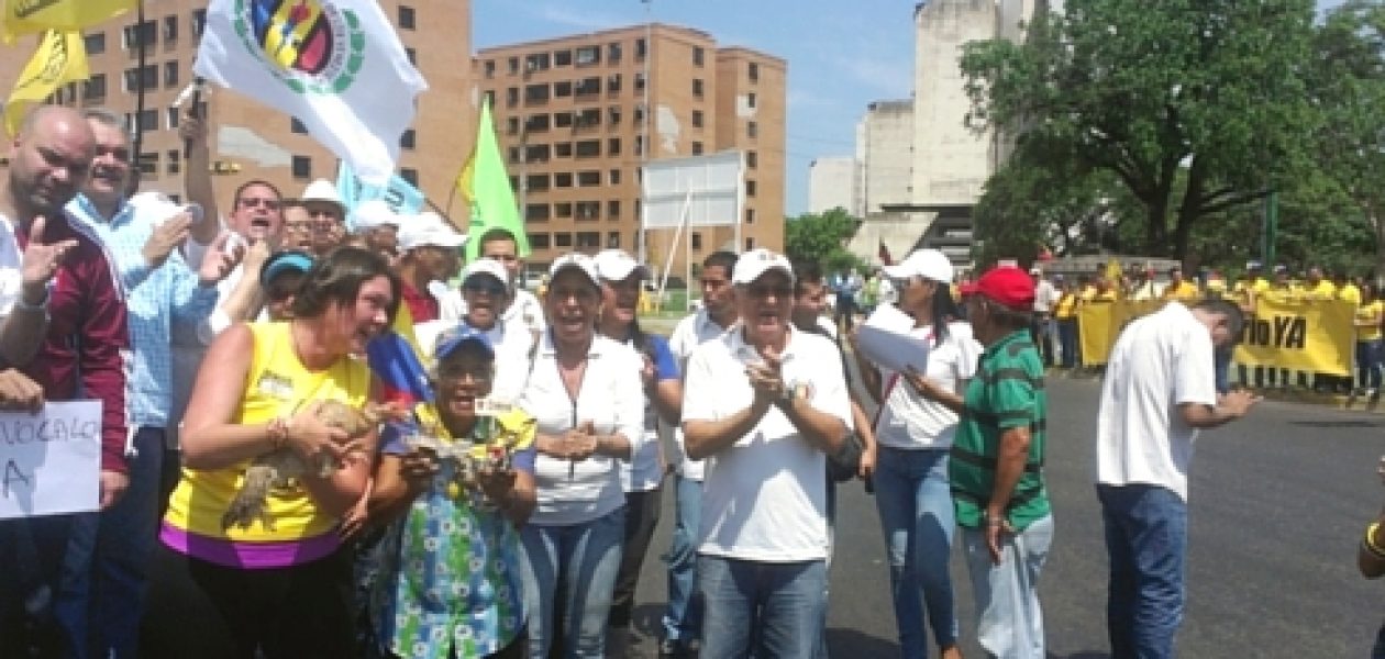 TSJ no impedirá marcha de la oposición hasta el CNE