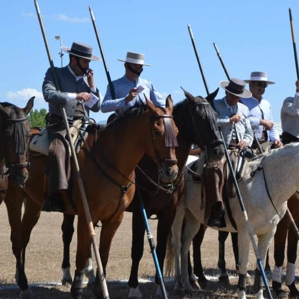 Acoso y derribo a la tiranía