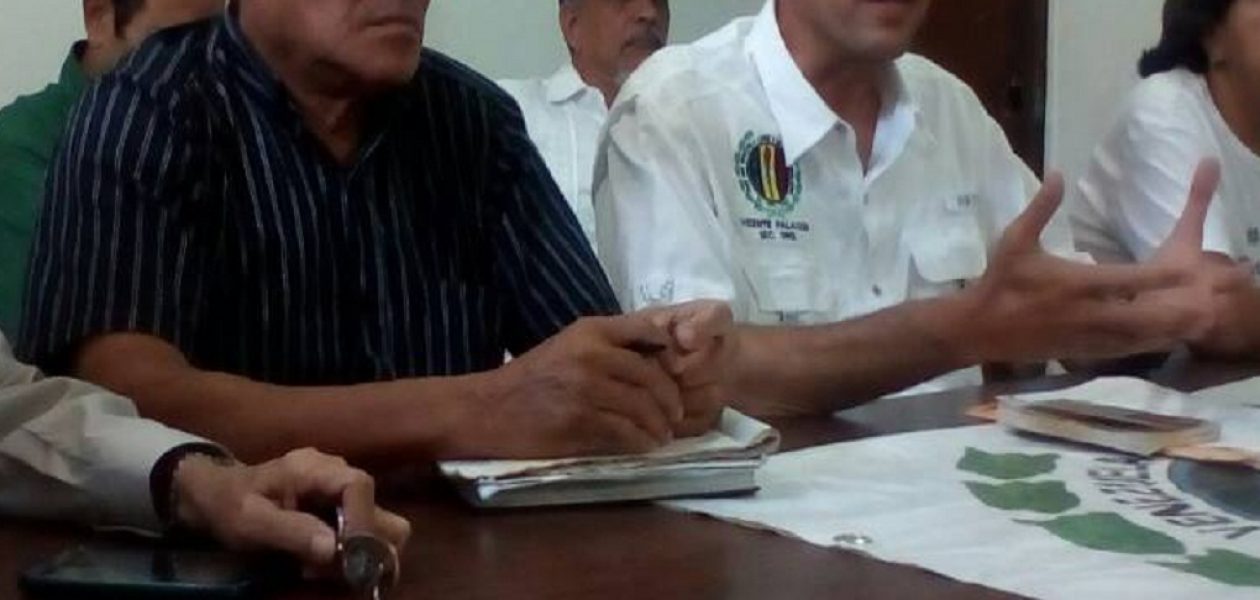 AD: Guayana no convalidará fraude electoral