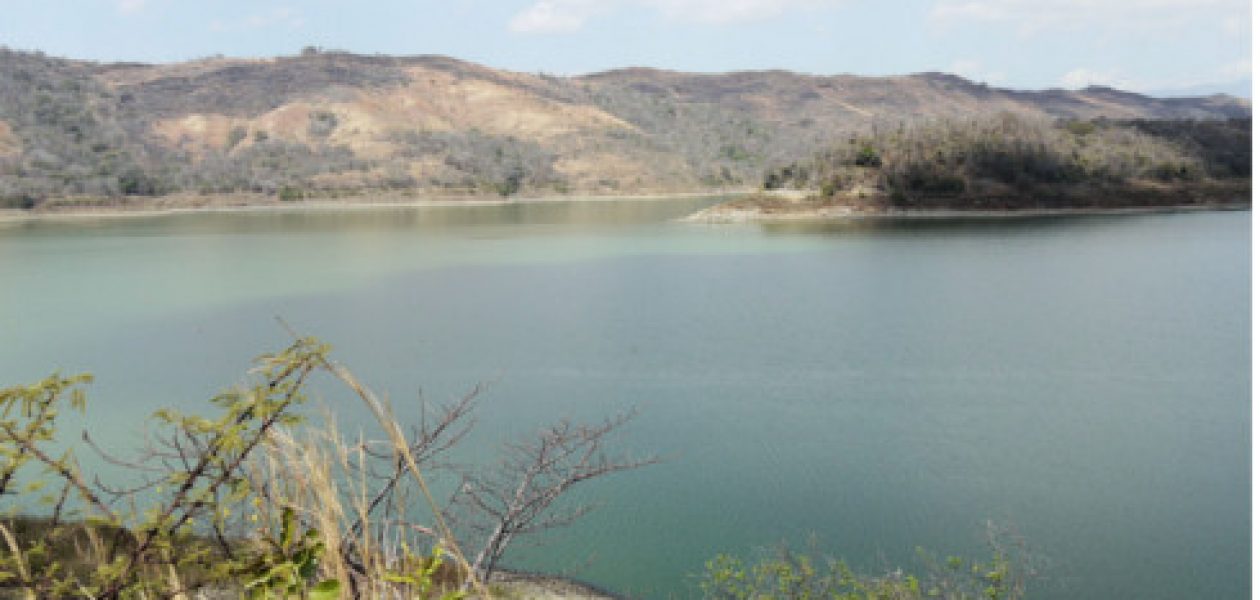 La contaminación del agua se agrava en Aragua