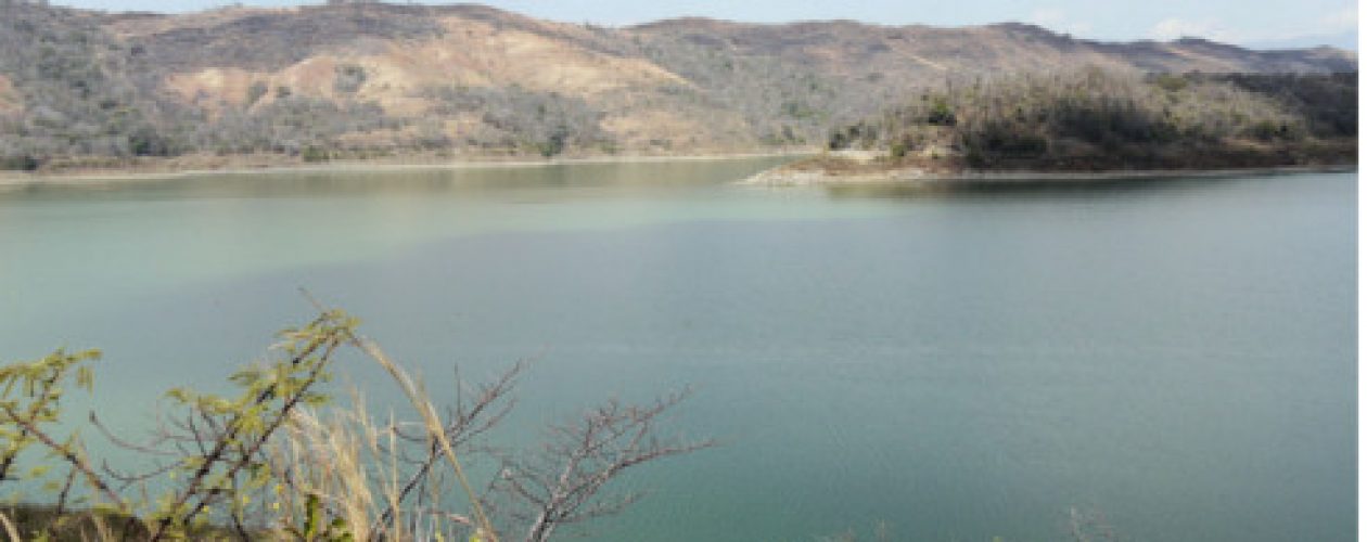 La contaminación del agua se agrava en Aragua