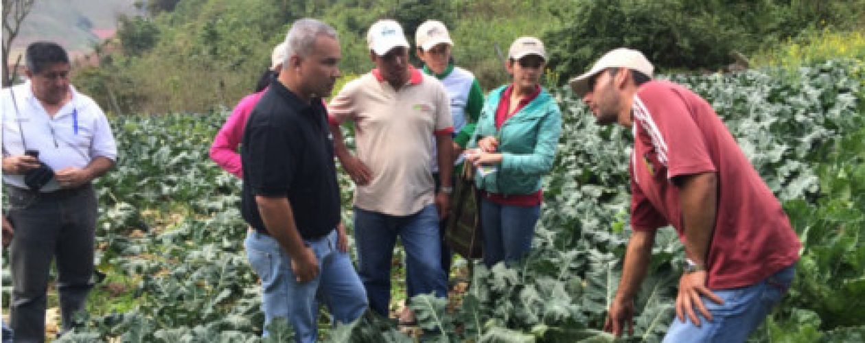 Nueva Asamblea Nacional: esperanza para productores agrícolas