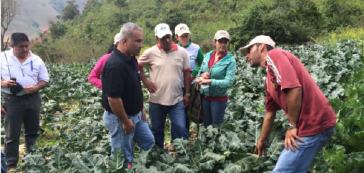 Nueva Asamblea Nacional: esperanza para productores agrícolas