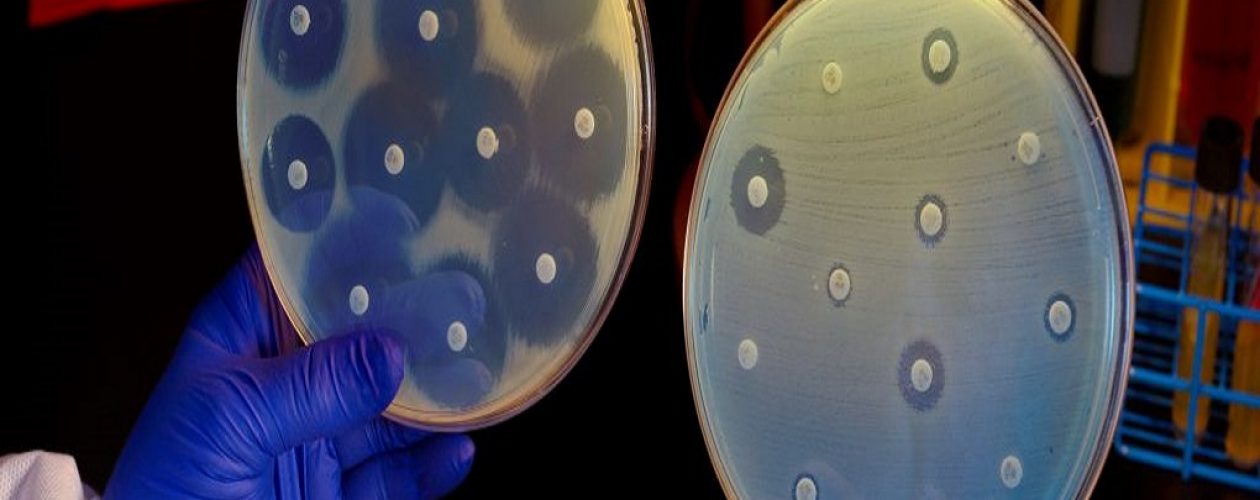 Bacteria resistente a antibióticos crea alerta en Europa