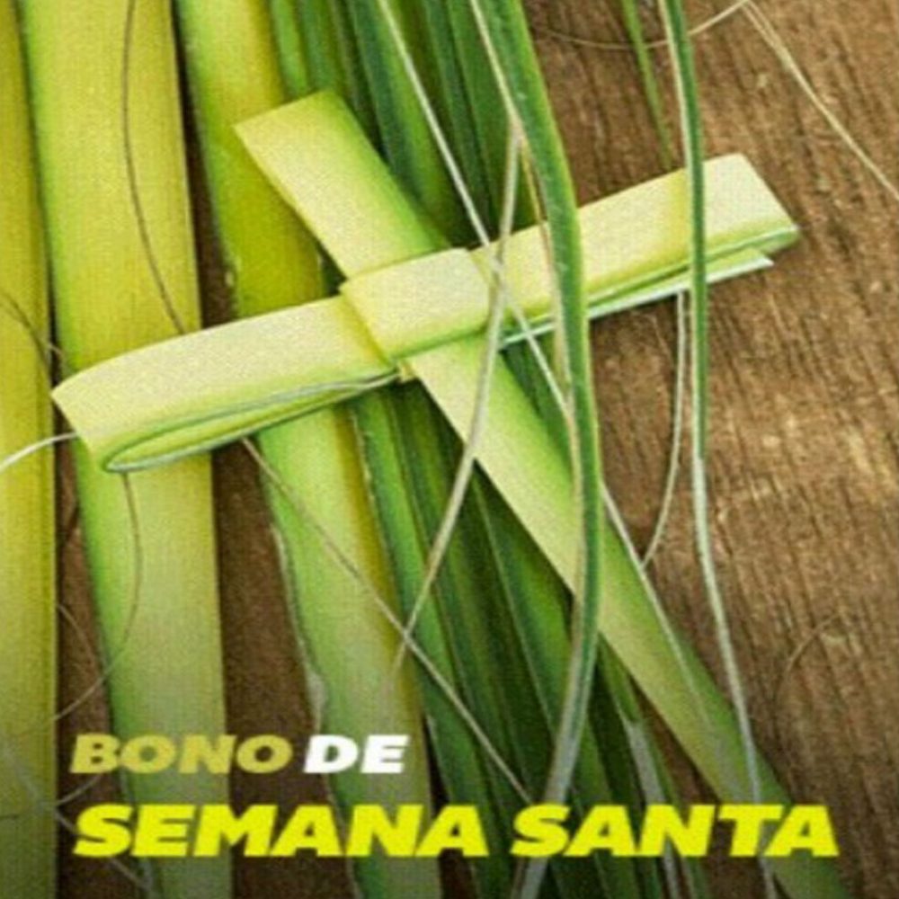 Bono de Semana Santa del carnet de la Patria que no pagan