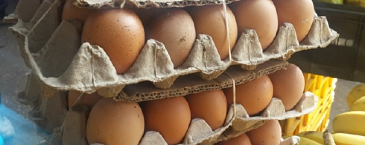 Huevos sí hay&#8230; a Bs. 1400, casi cuatro veces más que su precio regulado
