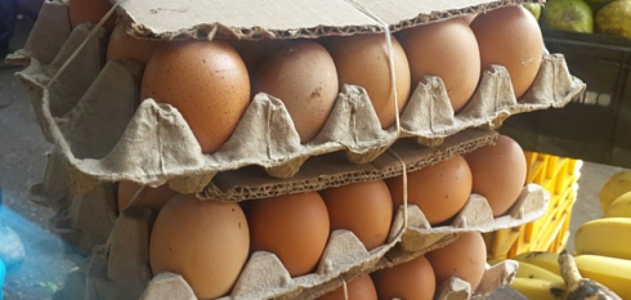 Huevos sí hay… a Bs. 1400, casi cuatro veces más que su precio regulado