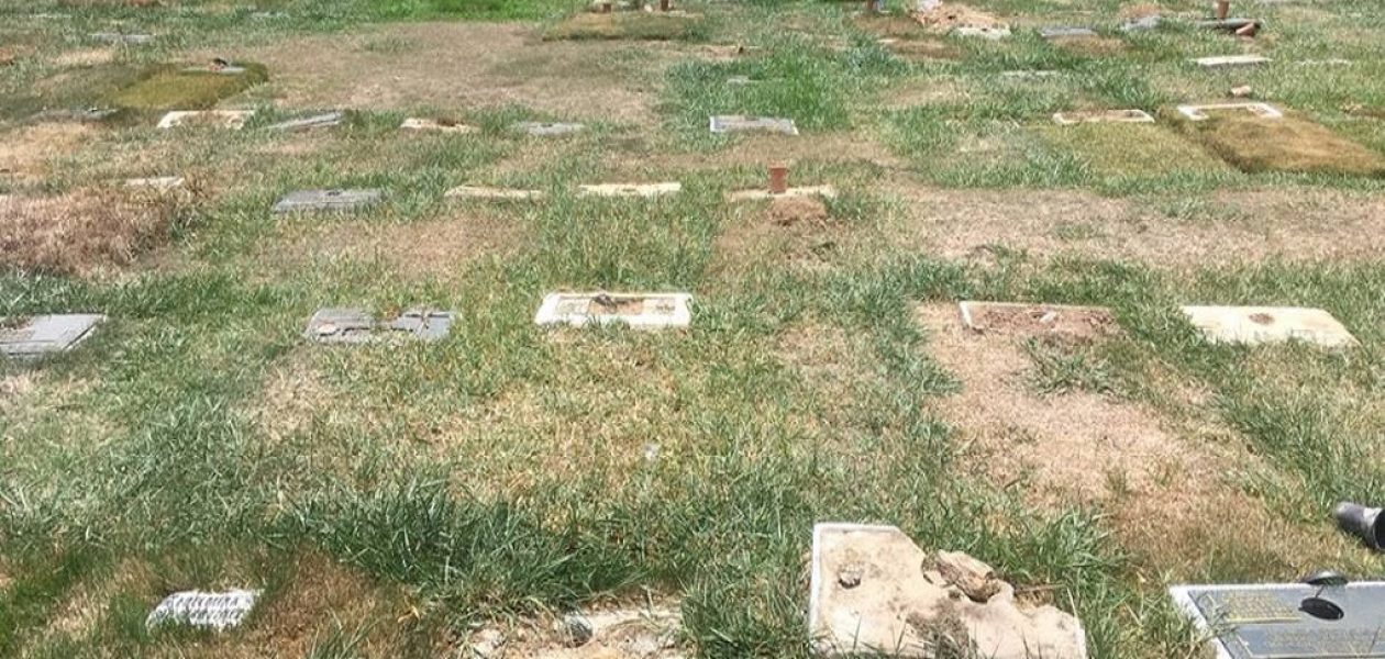 Placas de bronce del Cementerio del Este fueron desaparecidas por orden del Gobierno