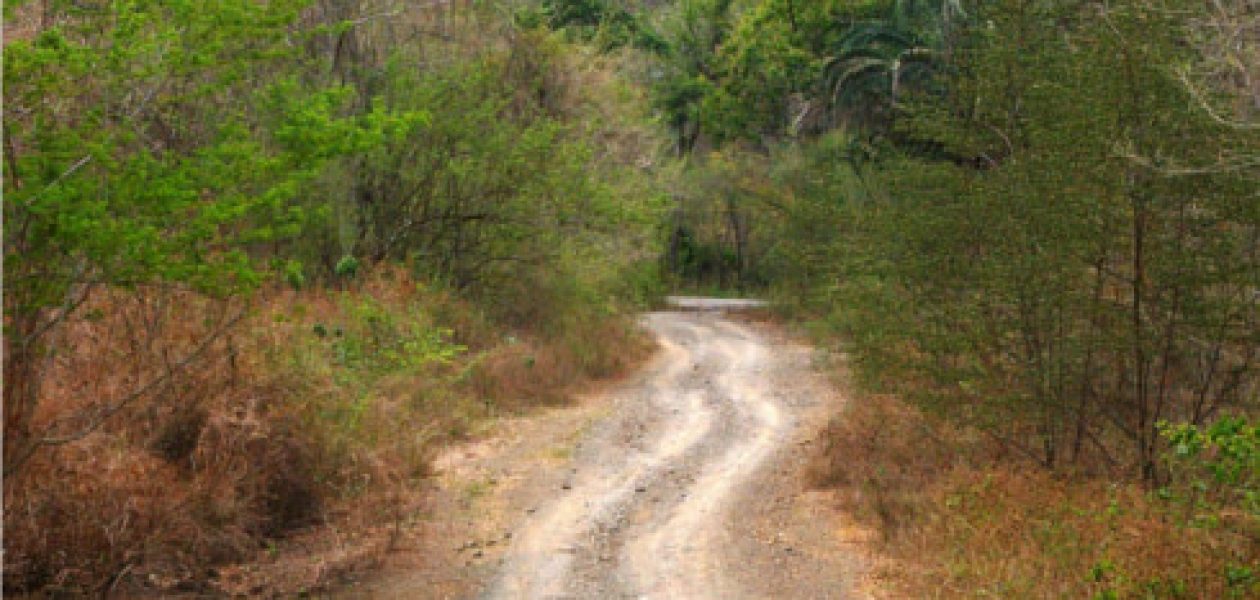 Cierre fronterizo: En Zulia cobran caro por pasar por trochas