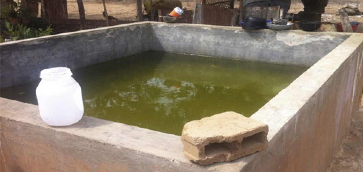 ¡Agua con barro! Insalubridad a la orden del día