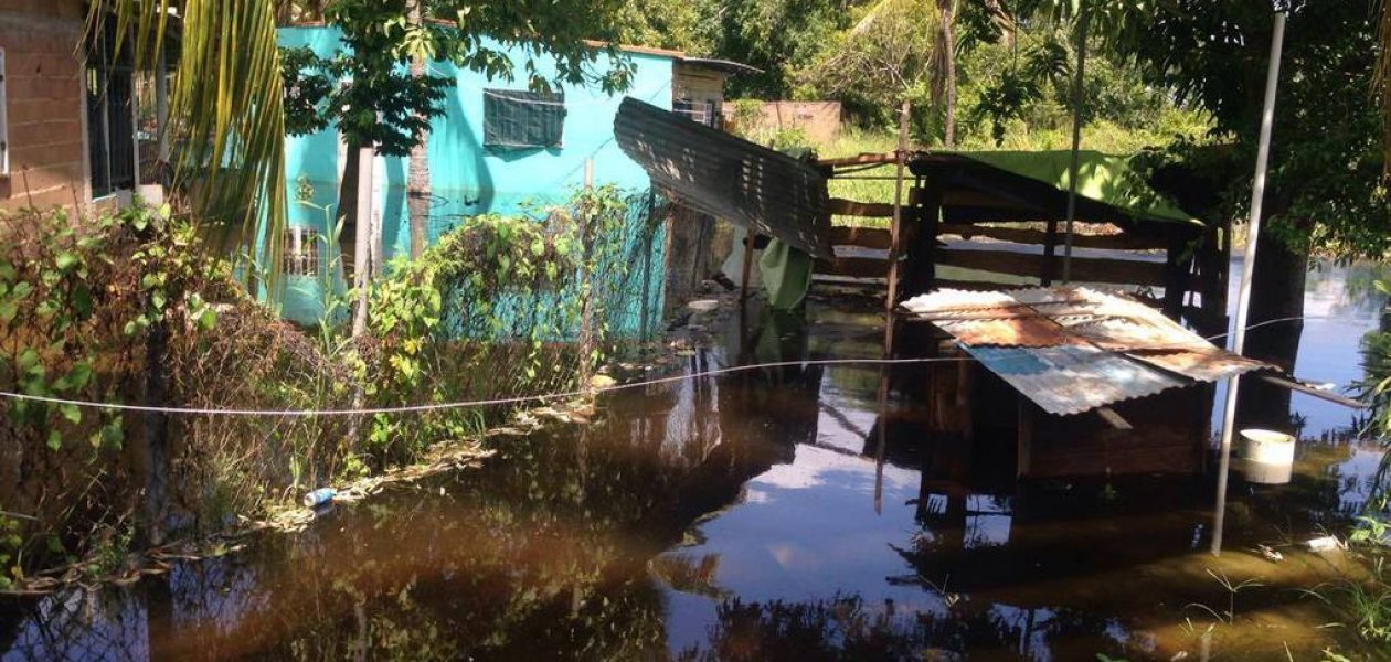 Crecida del río también afecta a Ciudad Bolívar