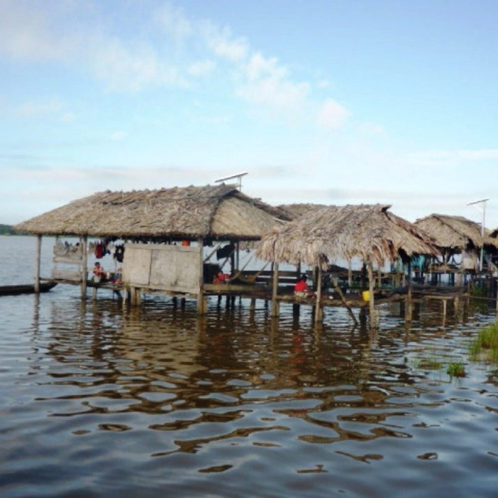 Crisis humanitaria: falta de ambulancia fluvial cobra vidas en el Delta