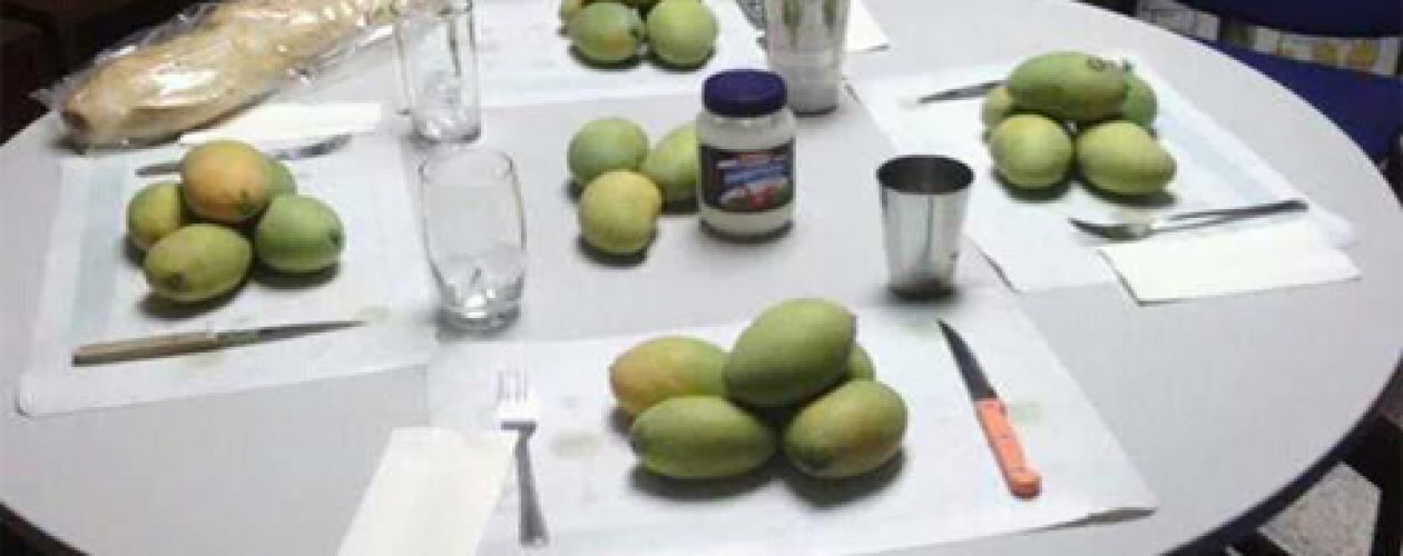 El mango ha sido la salvación de los venezolanos ante el hambre