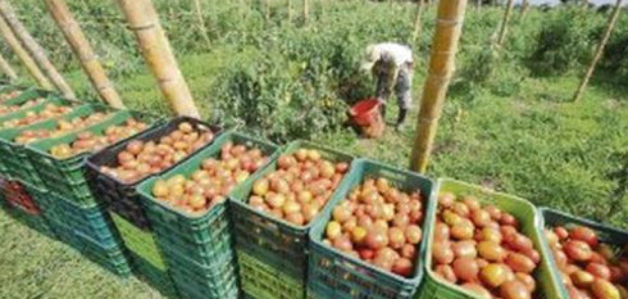 Aldeas agrícolas del estado Táchira viven en la edad media