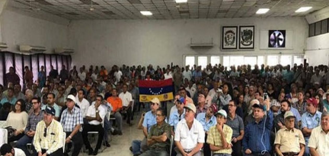 Ganaderos venezolanos se unen a protestas a partir del lunes