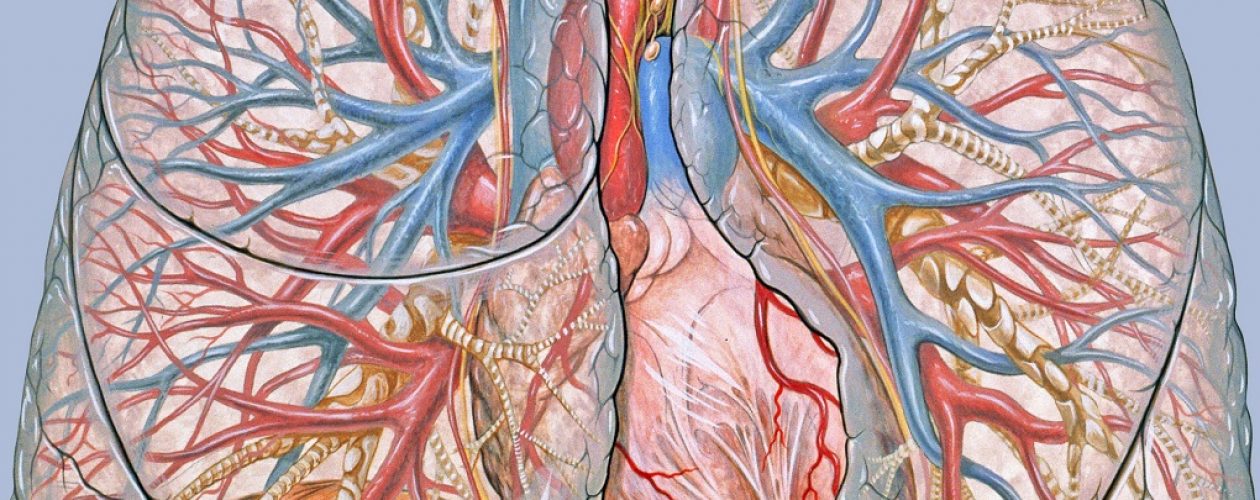 Medicamentos para la hipertensión arterial pulmonar cuestan 10 mil dólares