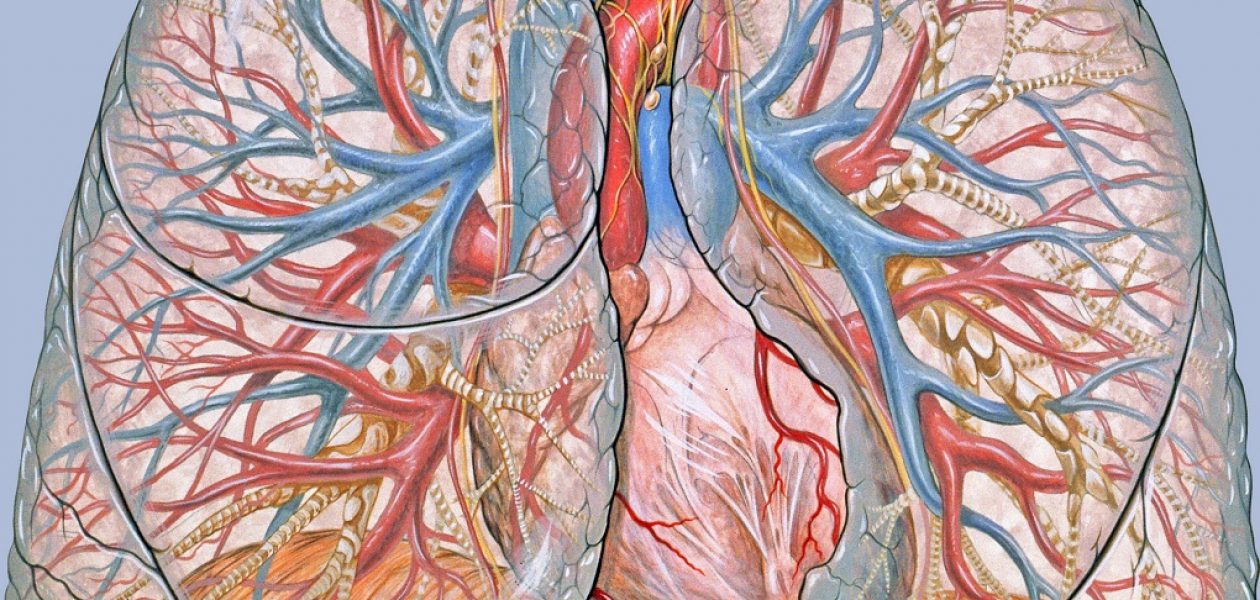 Medicamentos para la hipertensión arterial pulmonar cuestan 10 mil dólares