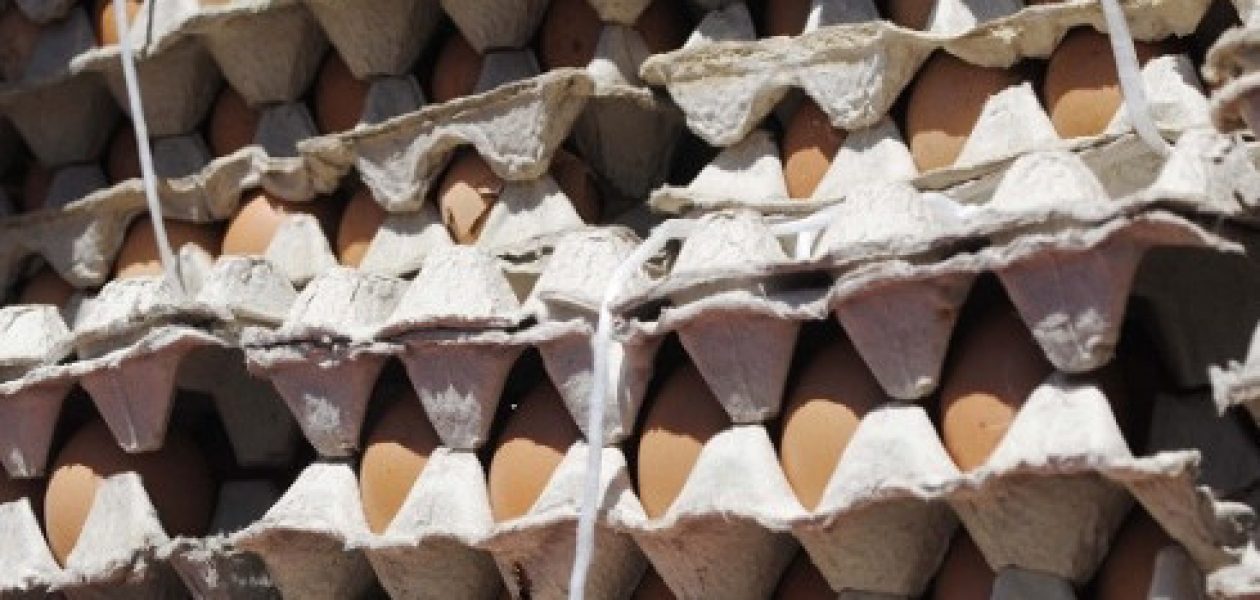 Cierre de productora de huevos deja más 3 mil desempleados