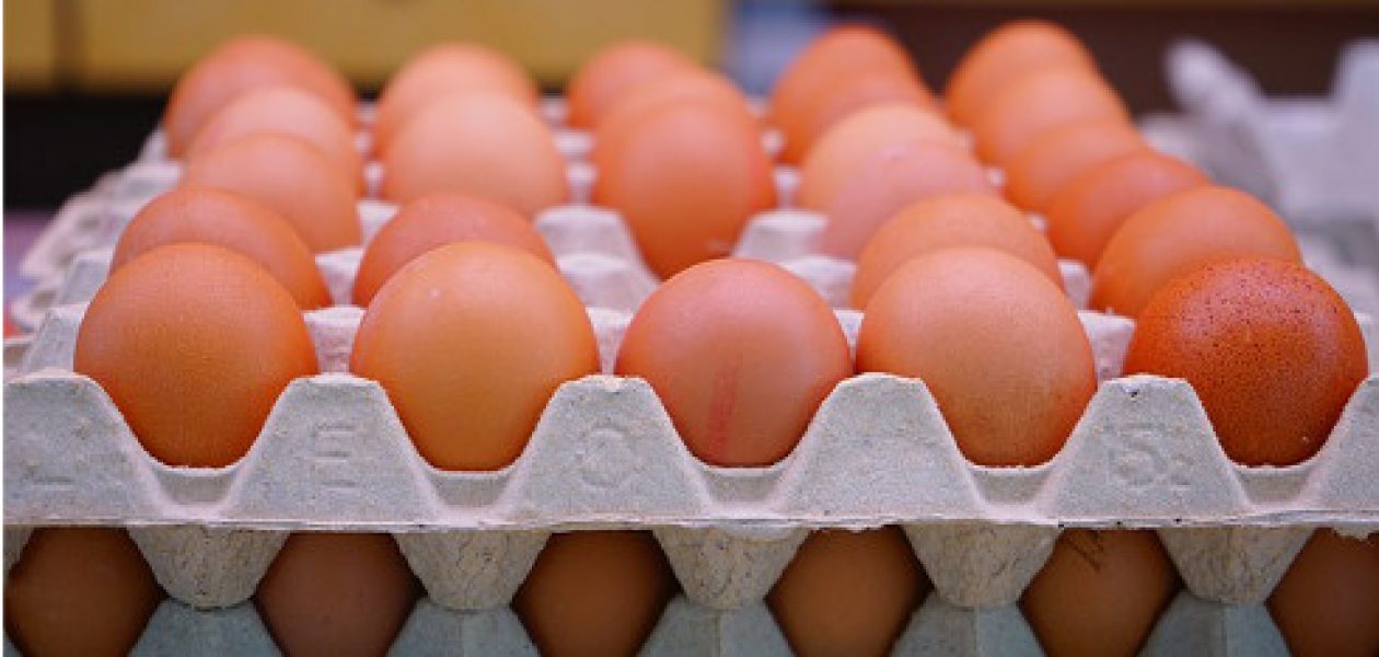 Incumplen a productores de huevos con subsidio prometido