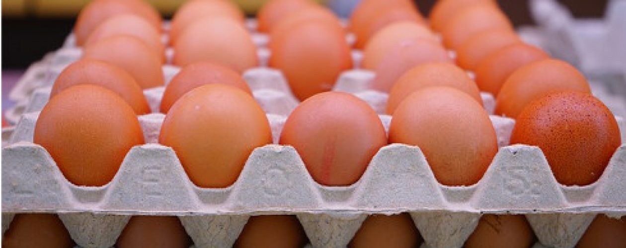Incumplen a productores de huevos con subsidio prometido