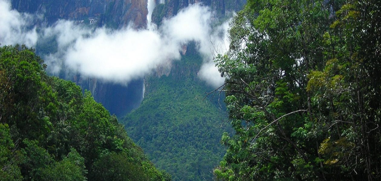 Cámara de Turismo en Bolívar preocupada por inseguridad en Venezuela