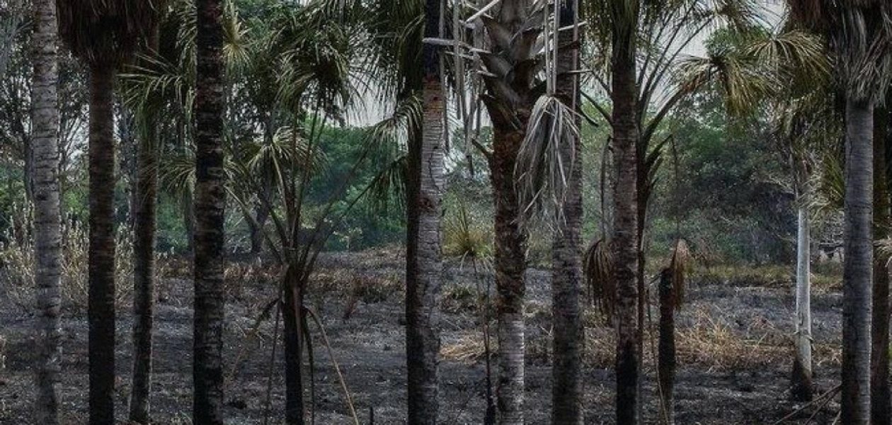 Incendio en La Llovizna consume cuatro hectáreas del parque