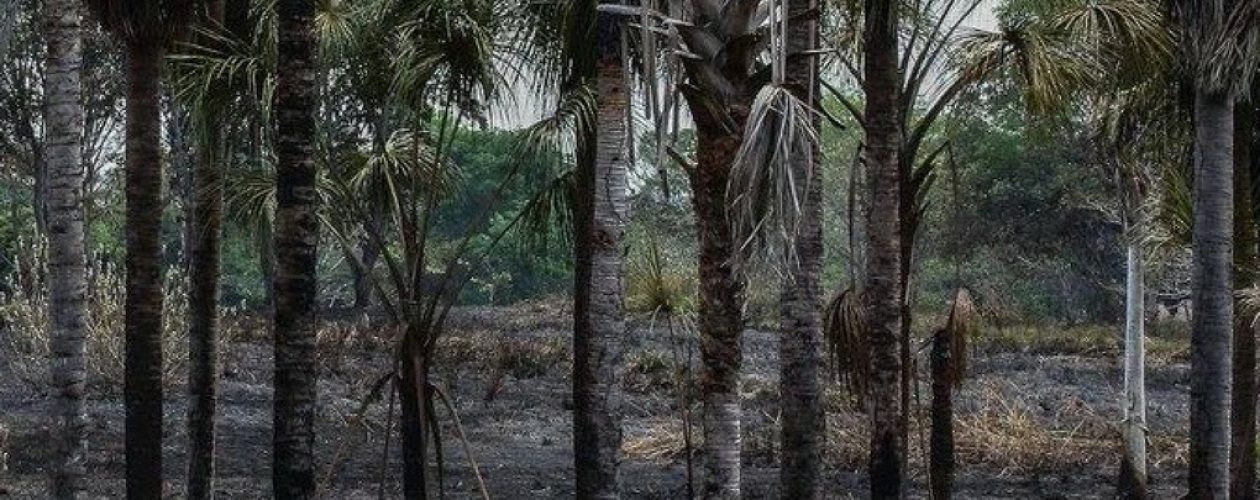 Incendio en La Llovizna consume cuatro hectáreas del parque