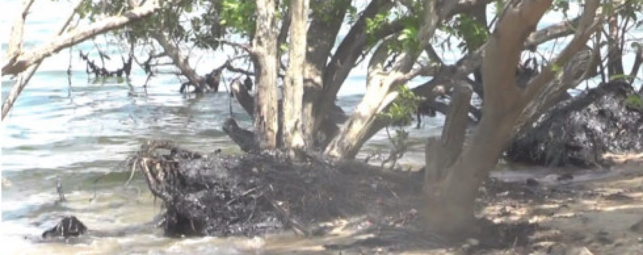 Lago de Maracaibo entre la contaminación y la falta de atención