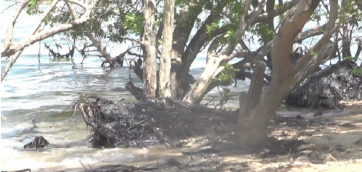 Lago de Maracaibo entre la contaminación y la falta de atención