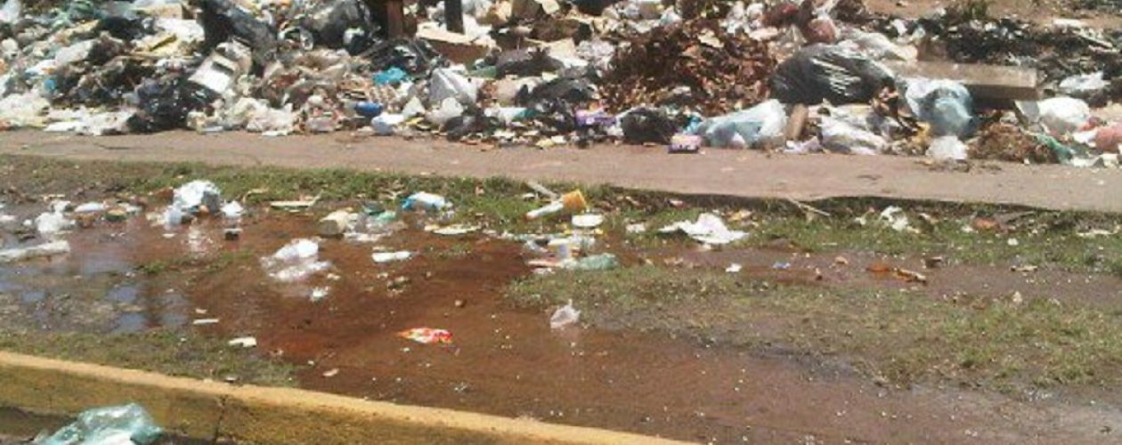 Ley de Gestión Integral de la Basura no se cumple en Guayana