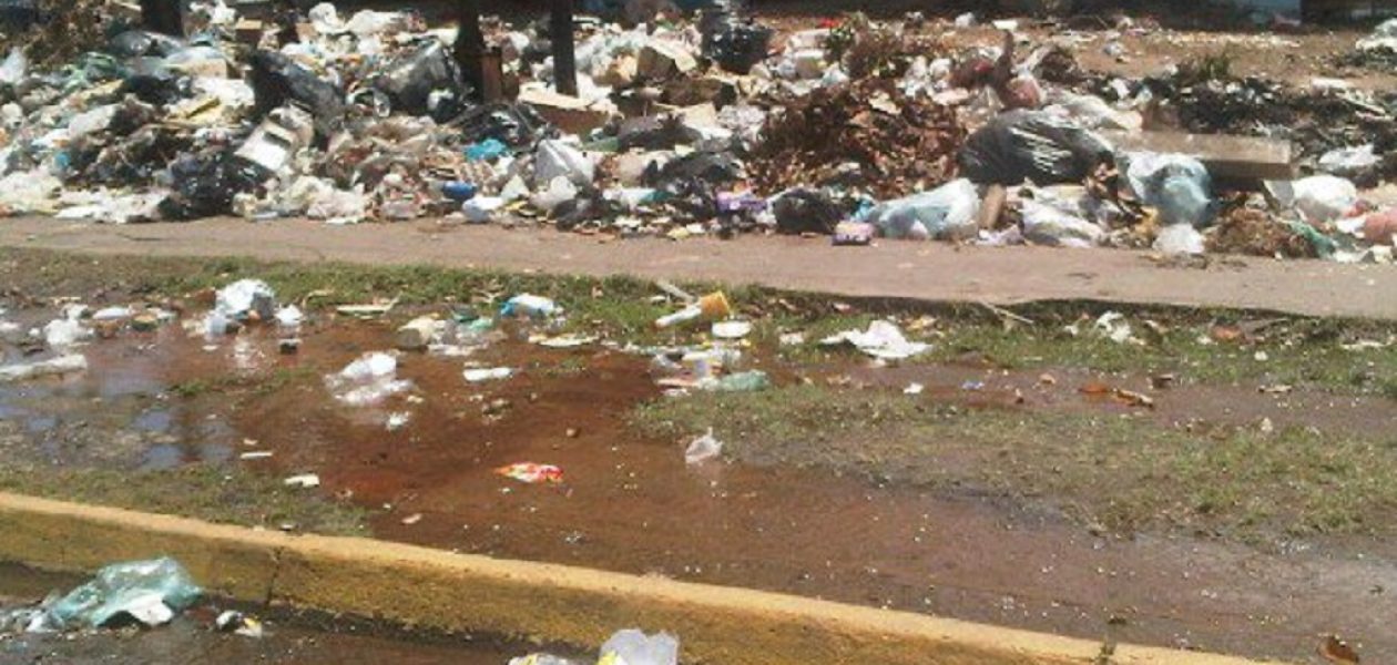 Ley de Gestión Integral de la Basura no se cumple en Guayana