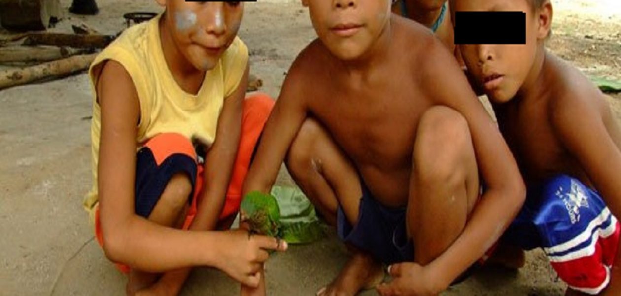Indígenas huottoja también son atacados por la malaria en Venezuela