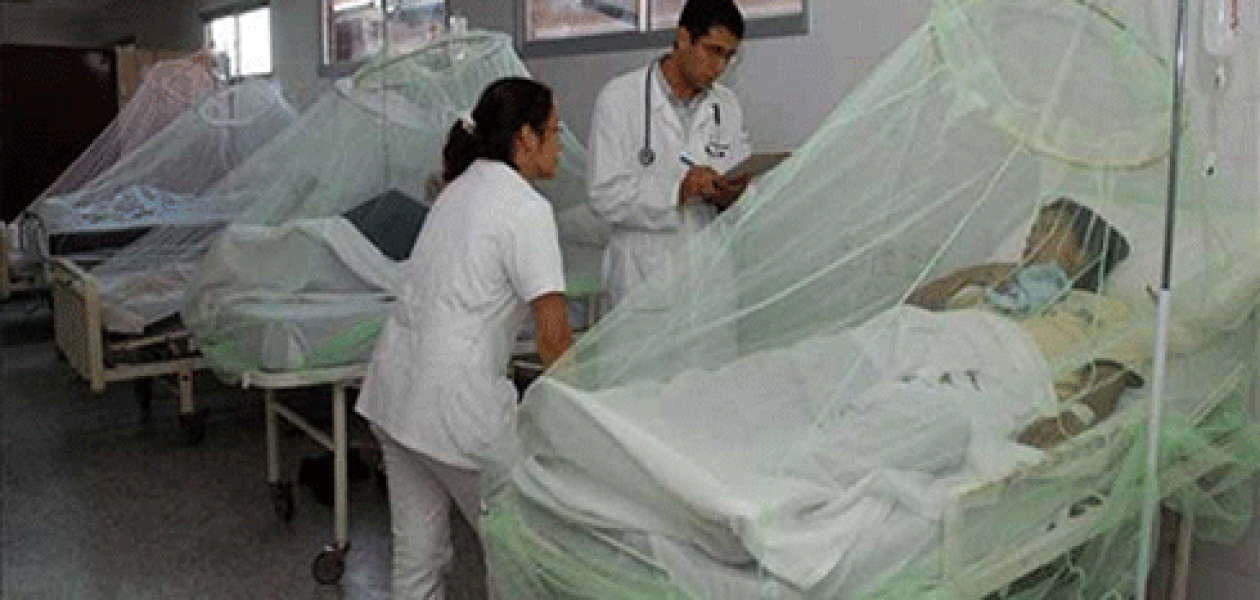 Van 46 muertes por malaria en Bolívar