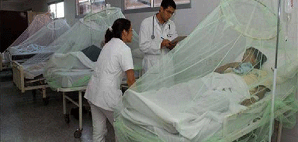 Atacar malaria en Venezuela sigue siendo un reto en 2017