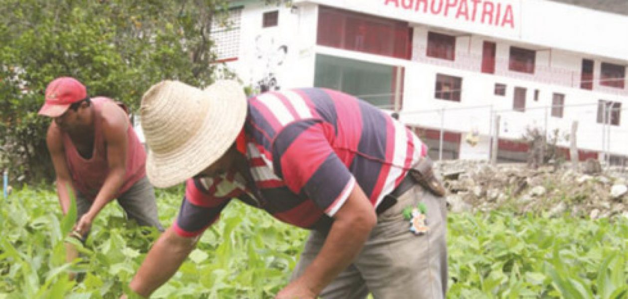 Producción en el Sur del Lago de Maracaibo está a punto de paralizarse