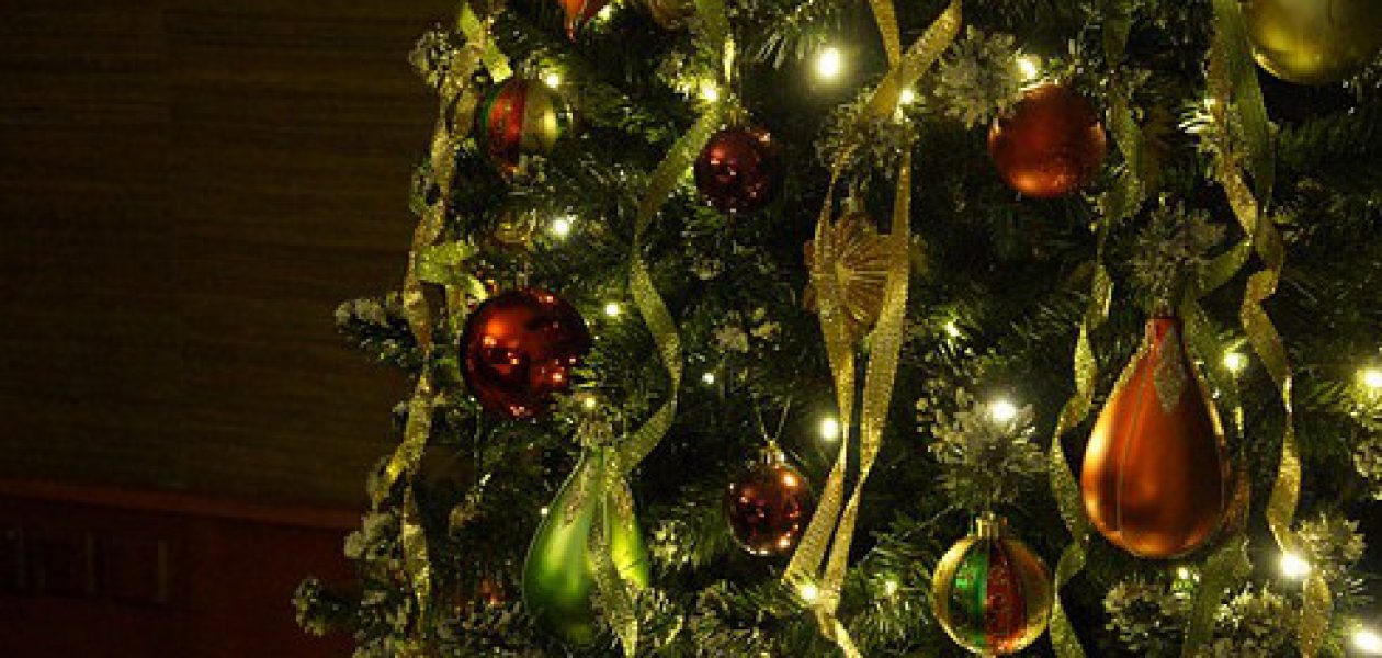 En un árbol de navidad y un pesebre se van 28.000 bolívares