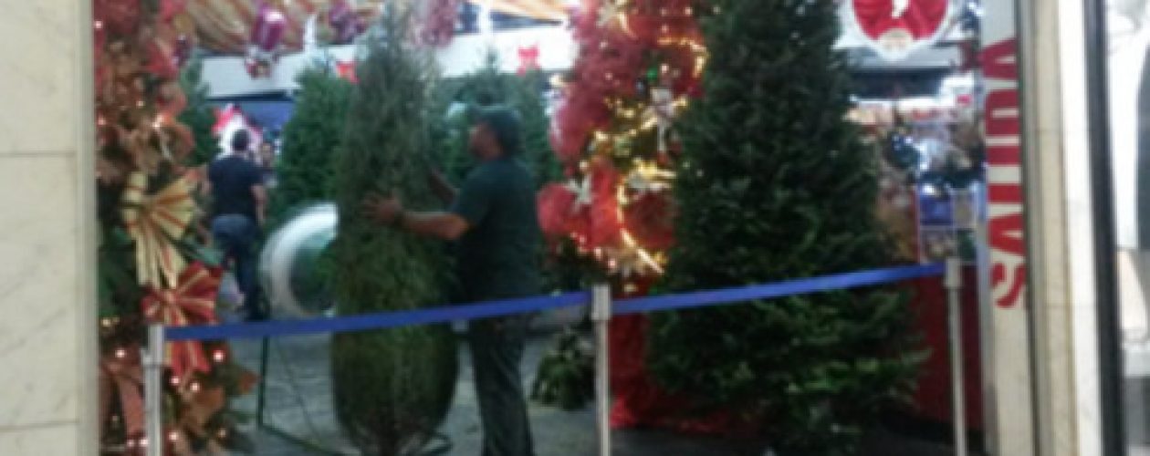 Adornar un árbol de navidad se lleva un sueldo mínimo