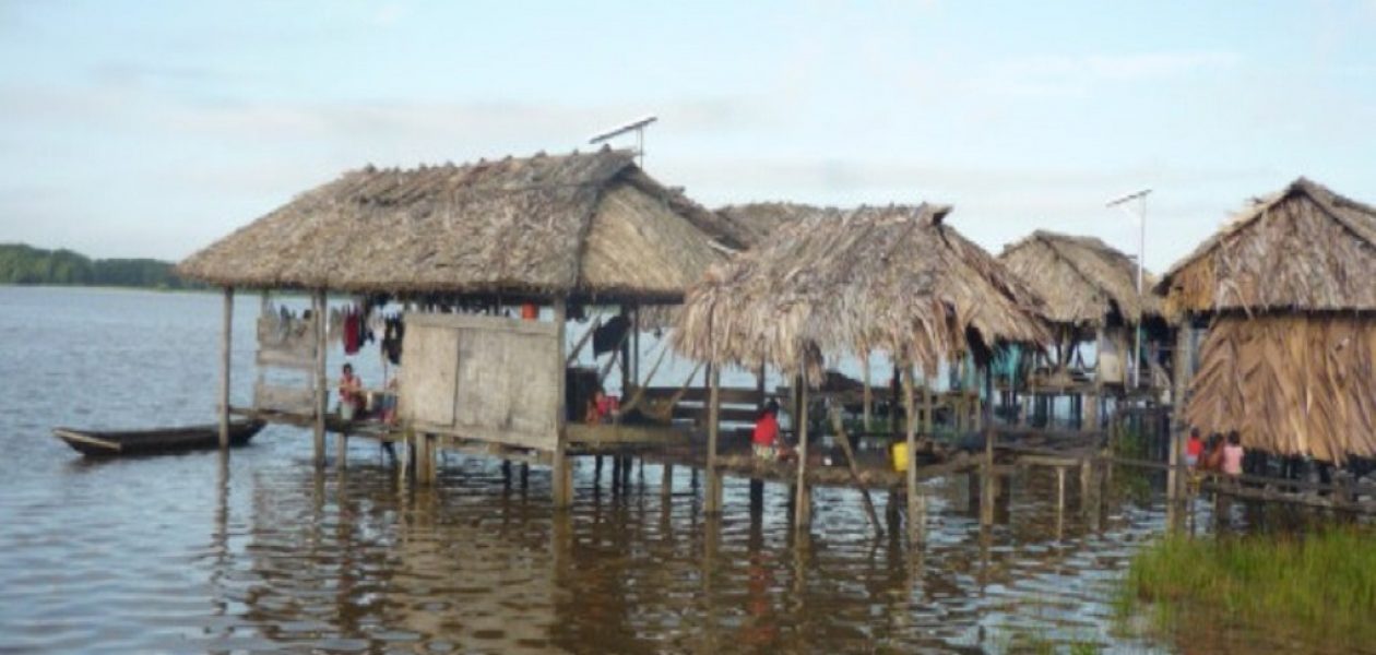 Paludismo y cólera: posibles causas de muerte en waraos de Tucupita