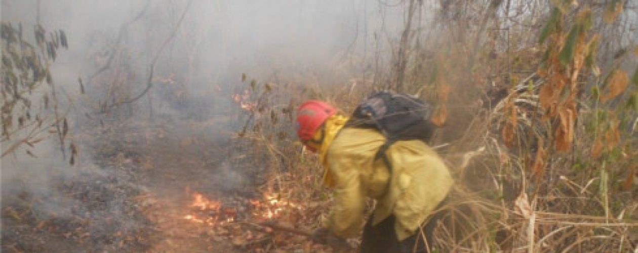 Parque Henri Pittier en llamas y los bomberos están atados de manos