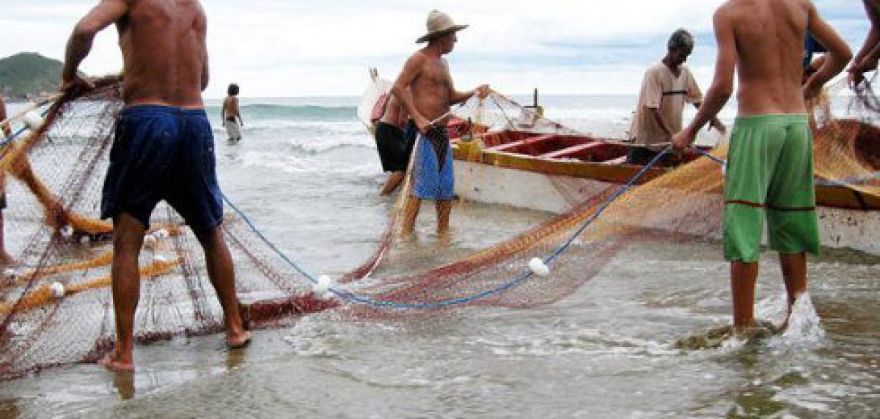 Precios del pescado limitan  su consumo