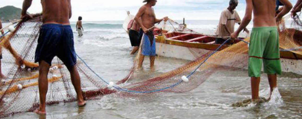 Precios del pescado limitan  su consumo