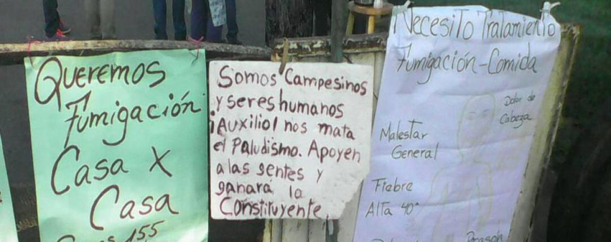 Nuevos brotes de paludismo alertan ante eventual epidemia en Venezuela