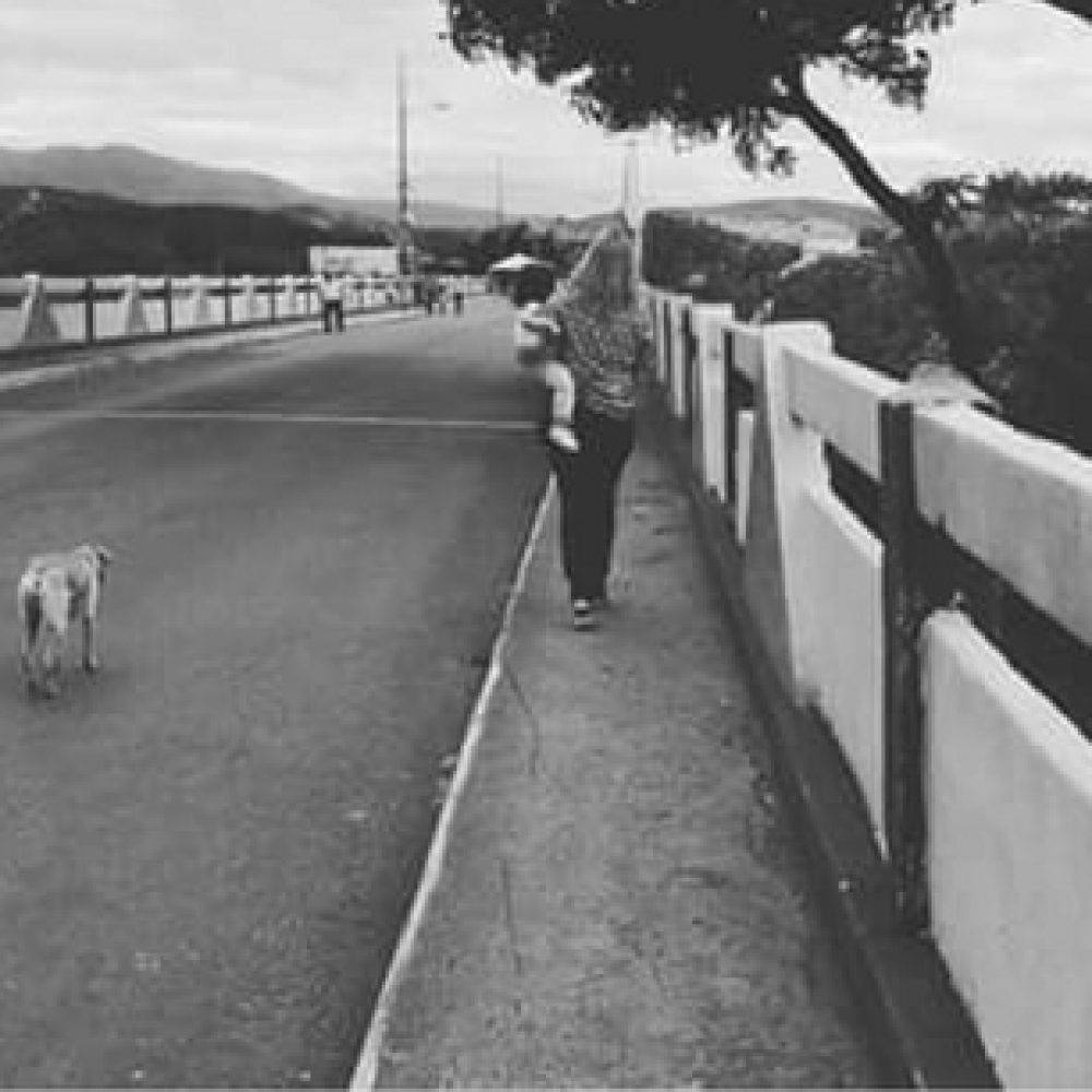 Cruzaria el puente mil veces