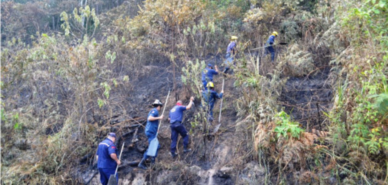 Pulmón natural de San Cristóbal se consume en llamas