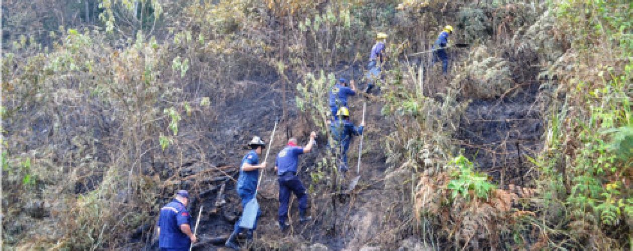 Pulmón natural de San Cristóbal se consume en llamas
